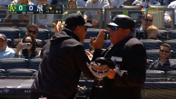 Yankees Manager Ejected For Saying Absolutely Nothing