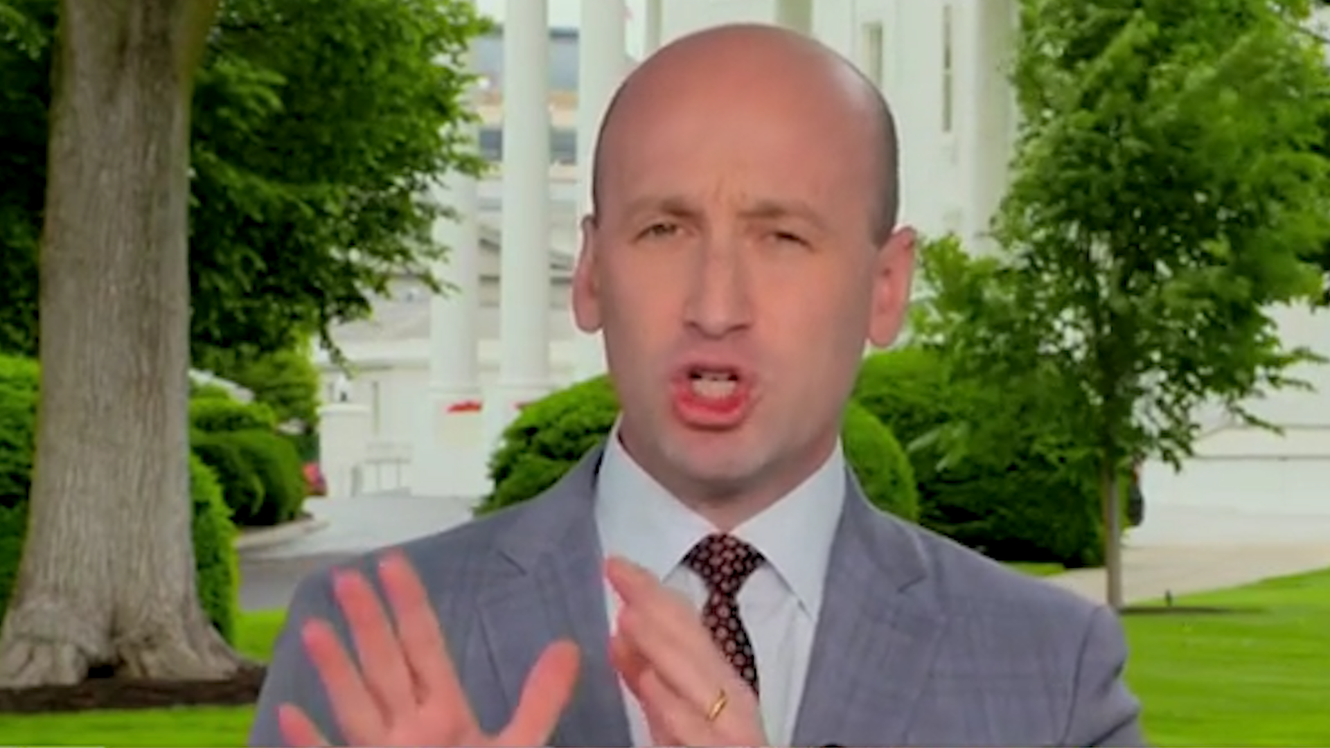Stephen Miller on the Warpath