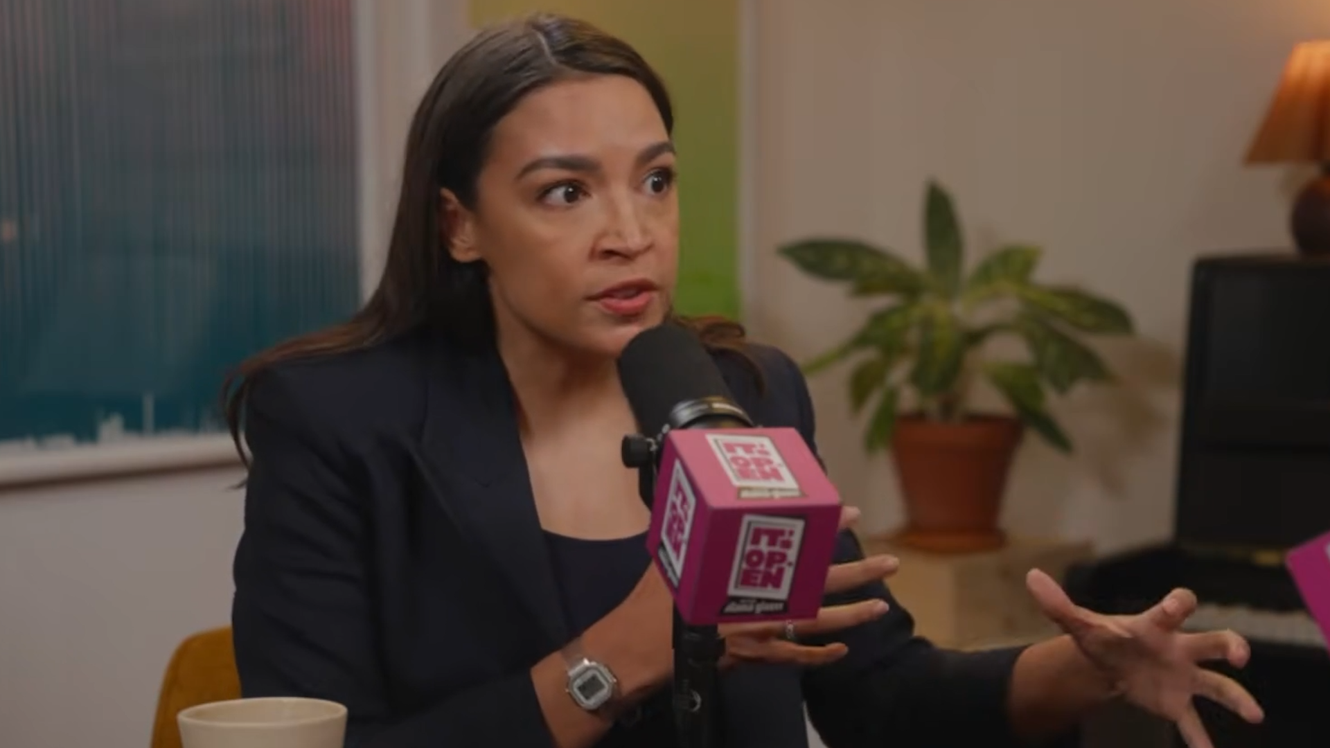 Alexandria Ocasio-Cortezs Theory of Wealth