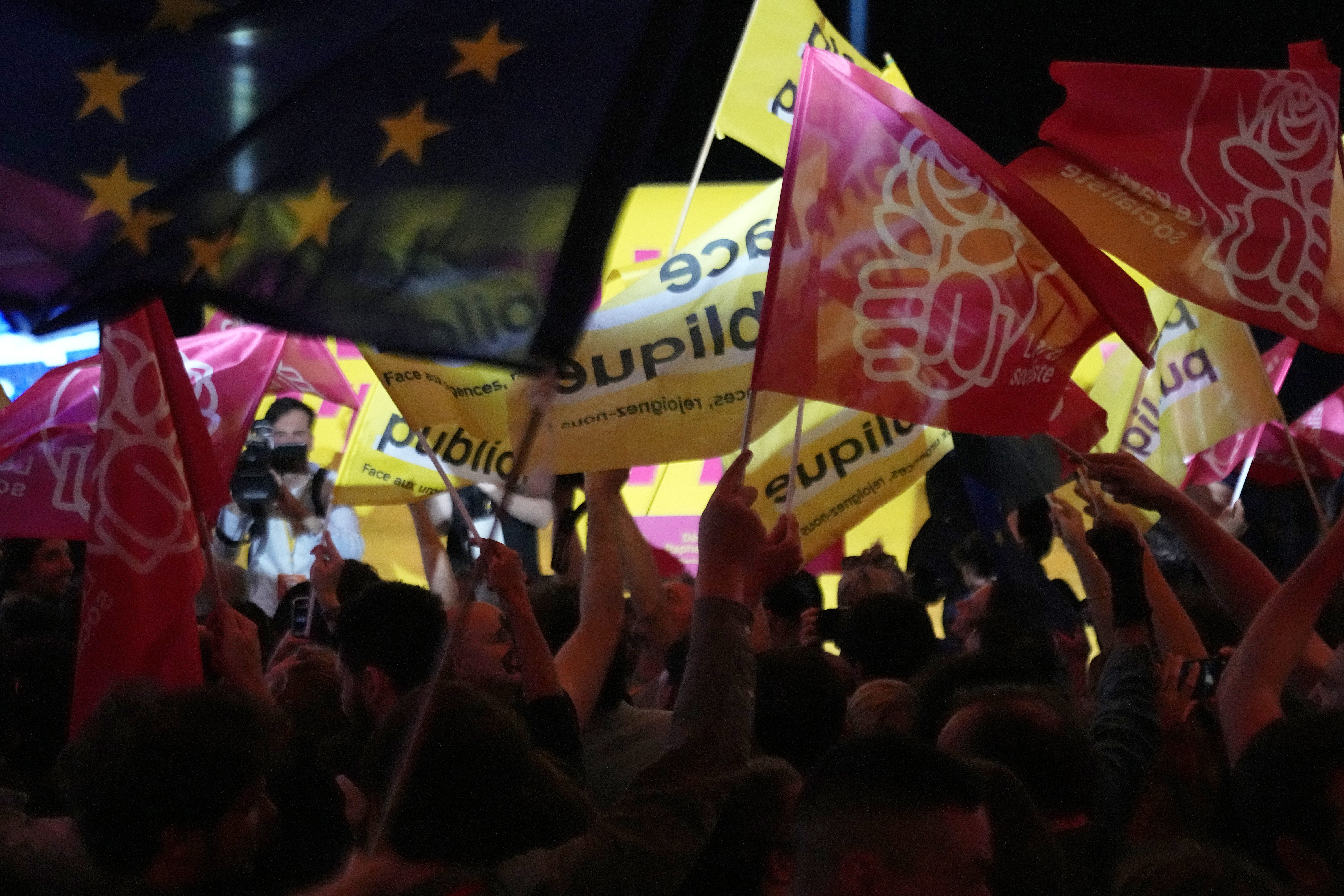 The European Elections