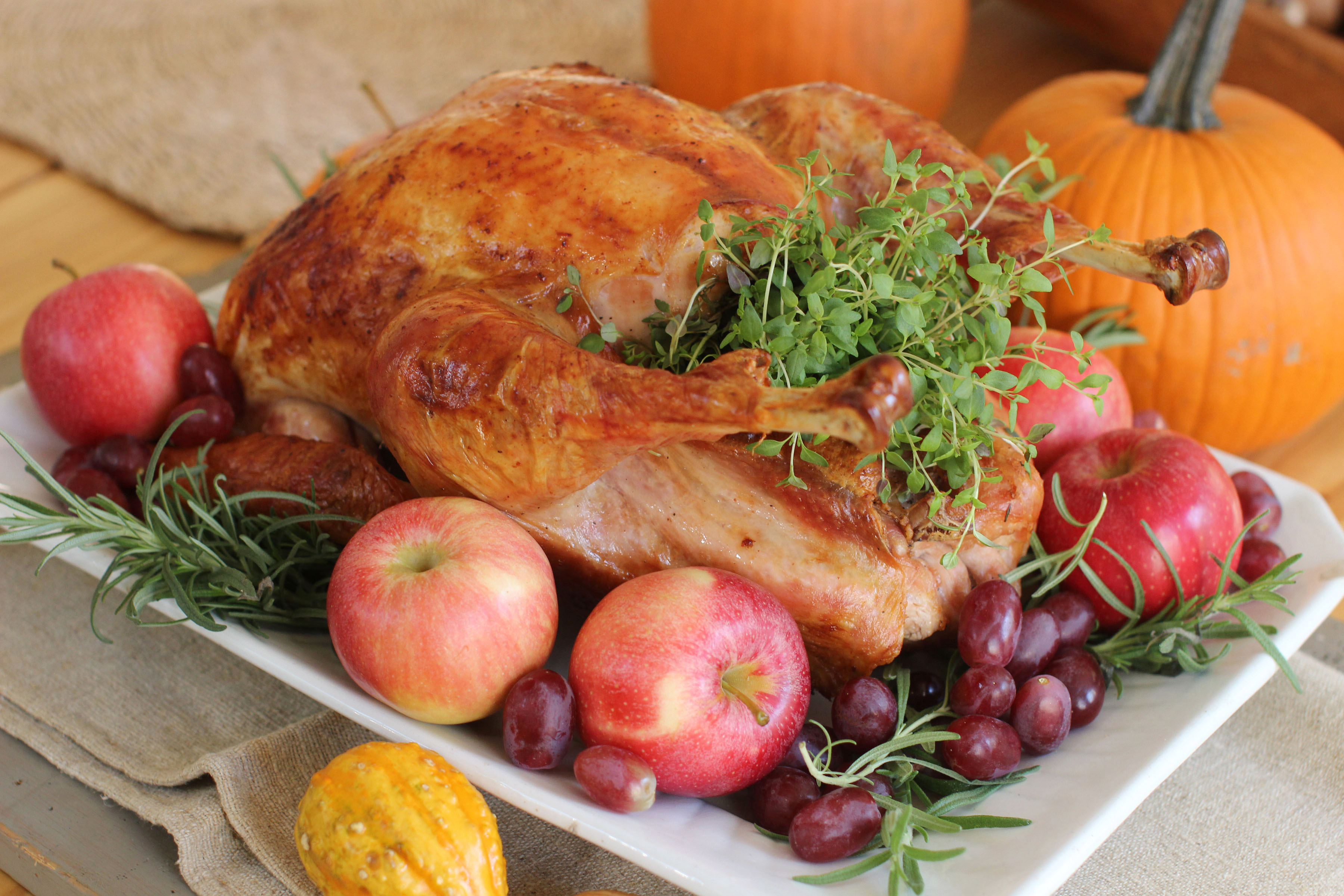 Cutting Back on Thanksgiving