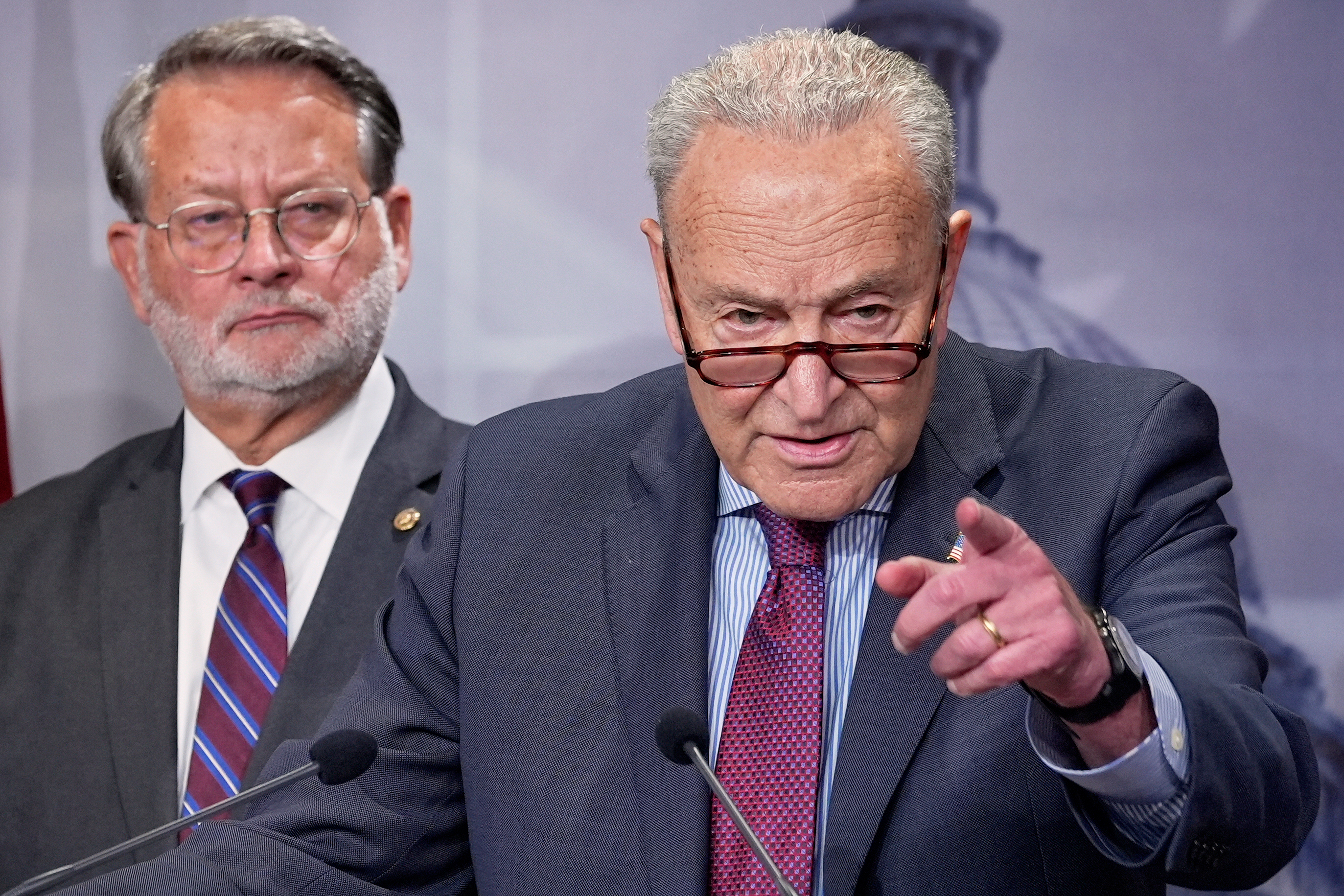 The New Democrats