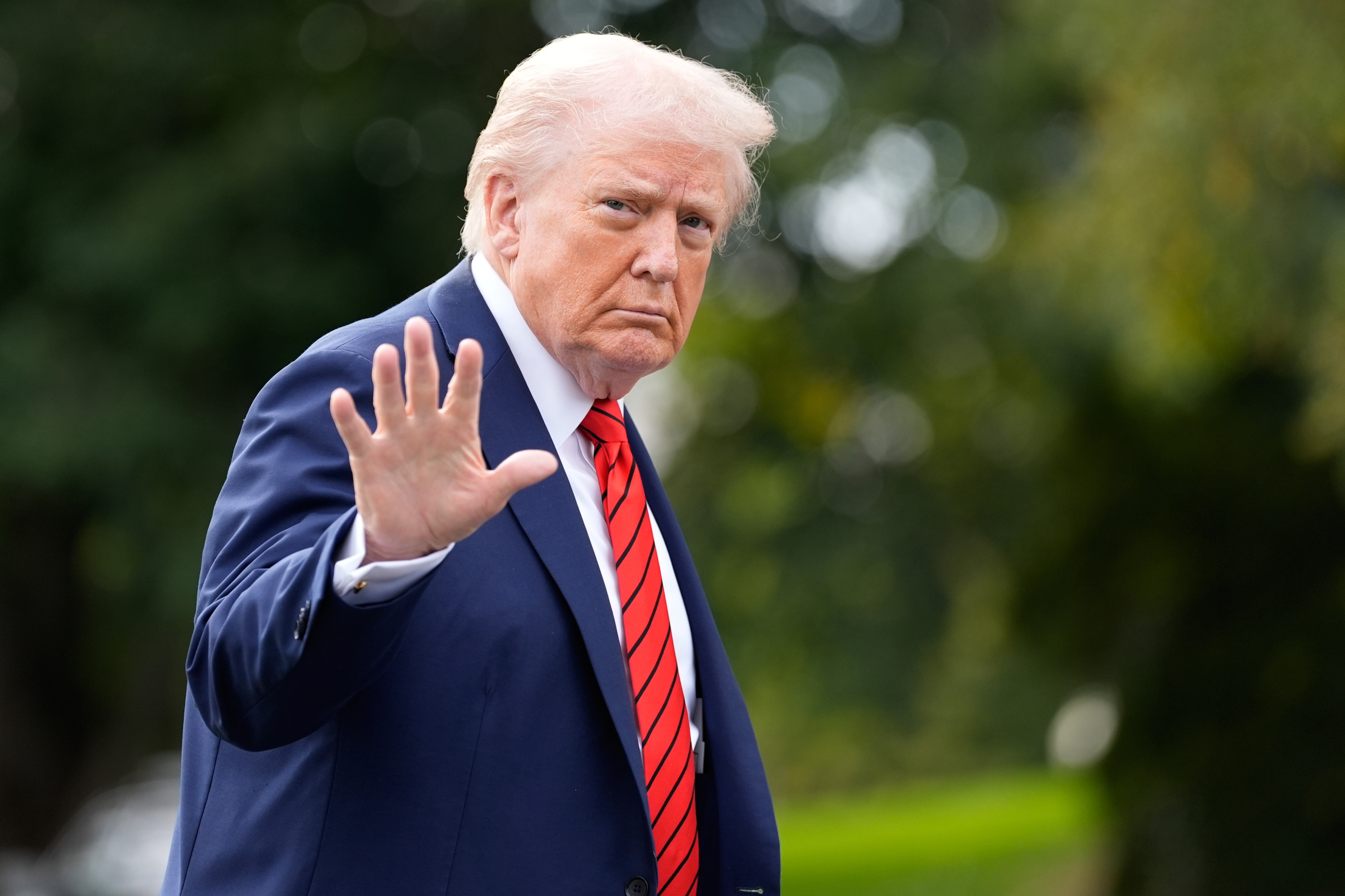 Power to the Trumpers