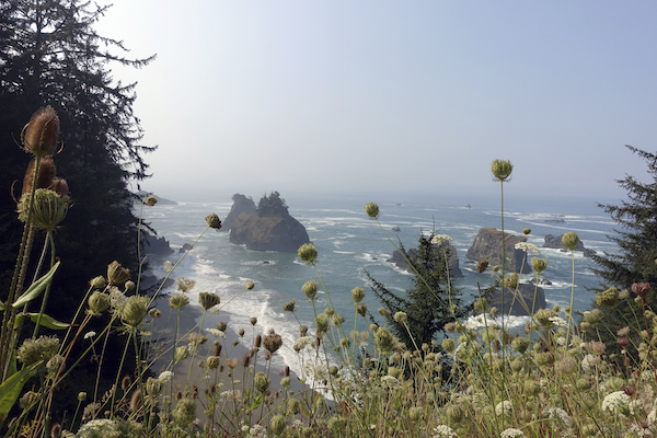 Test Your Knowledge of Oregan