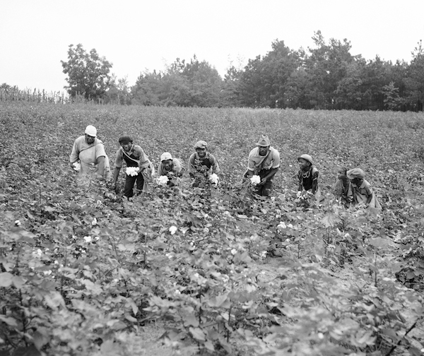 Test Your Knowledge of Slavery in America