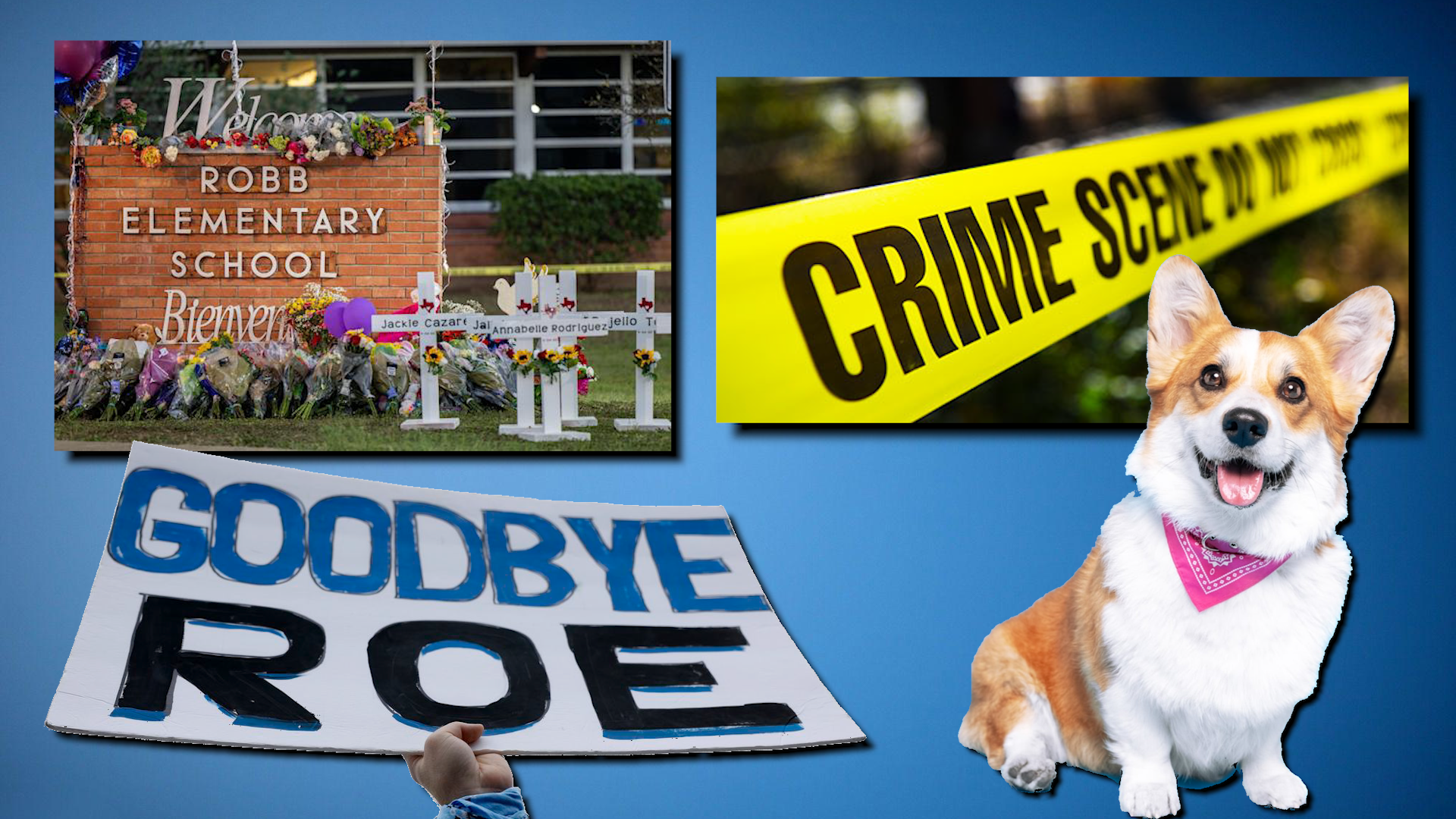 O'Reilly's News Quiz: Have you been Paying Attention?