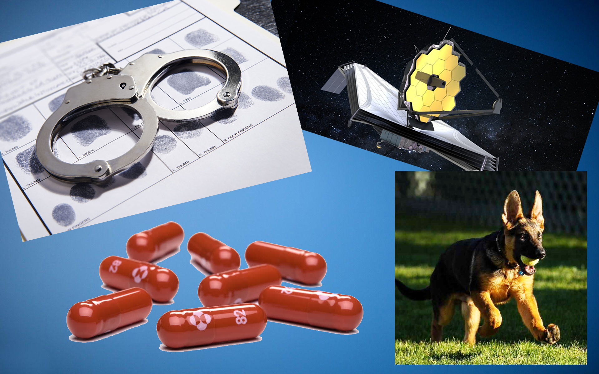 O'Reilly's News Quiz: Have you been Paying Attention?