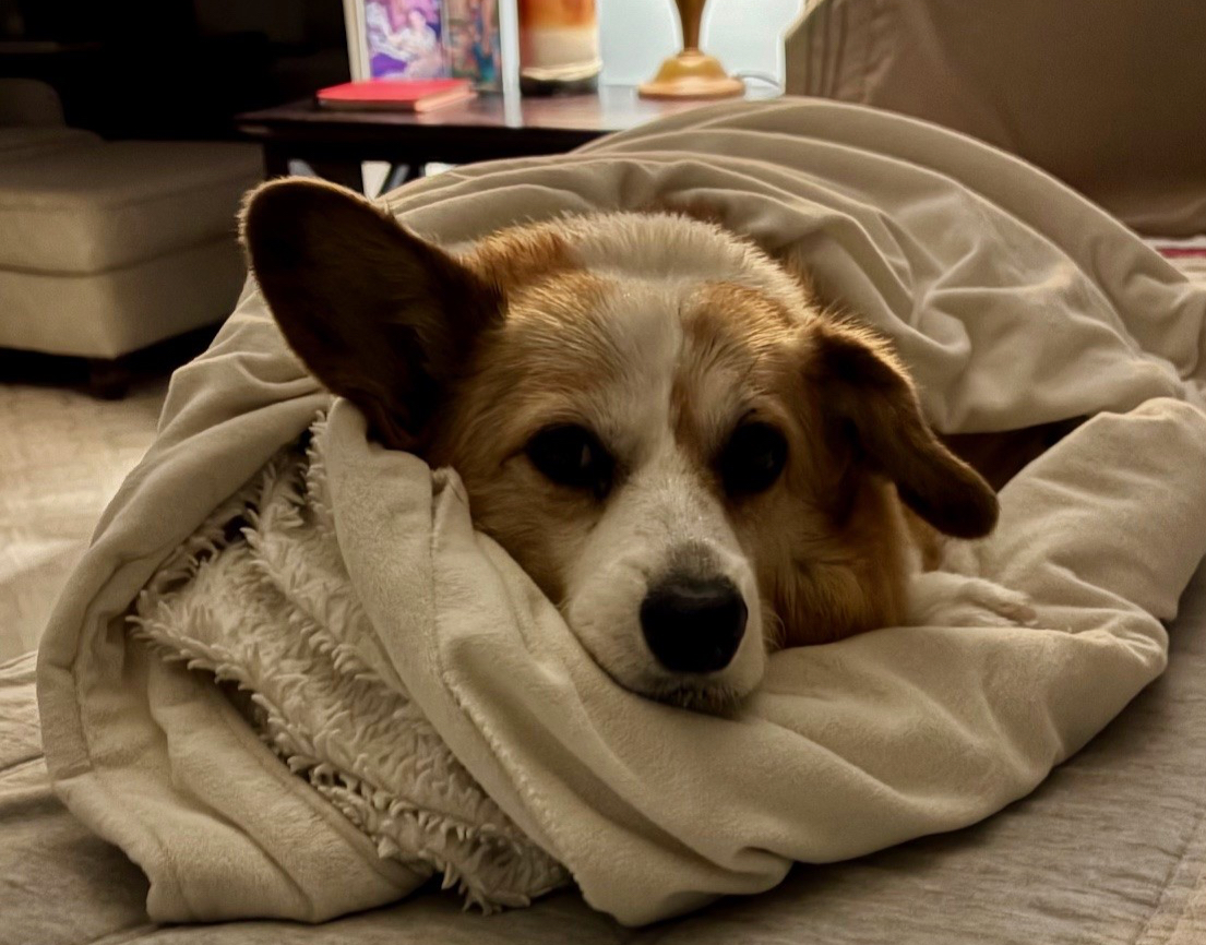 Goodbye, Holly