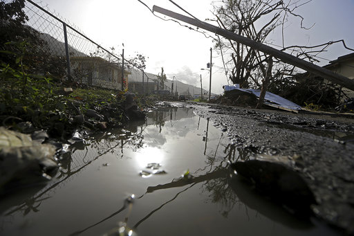 Poll: Just 54 Percent Know Puerto Ricans Are US Citizens