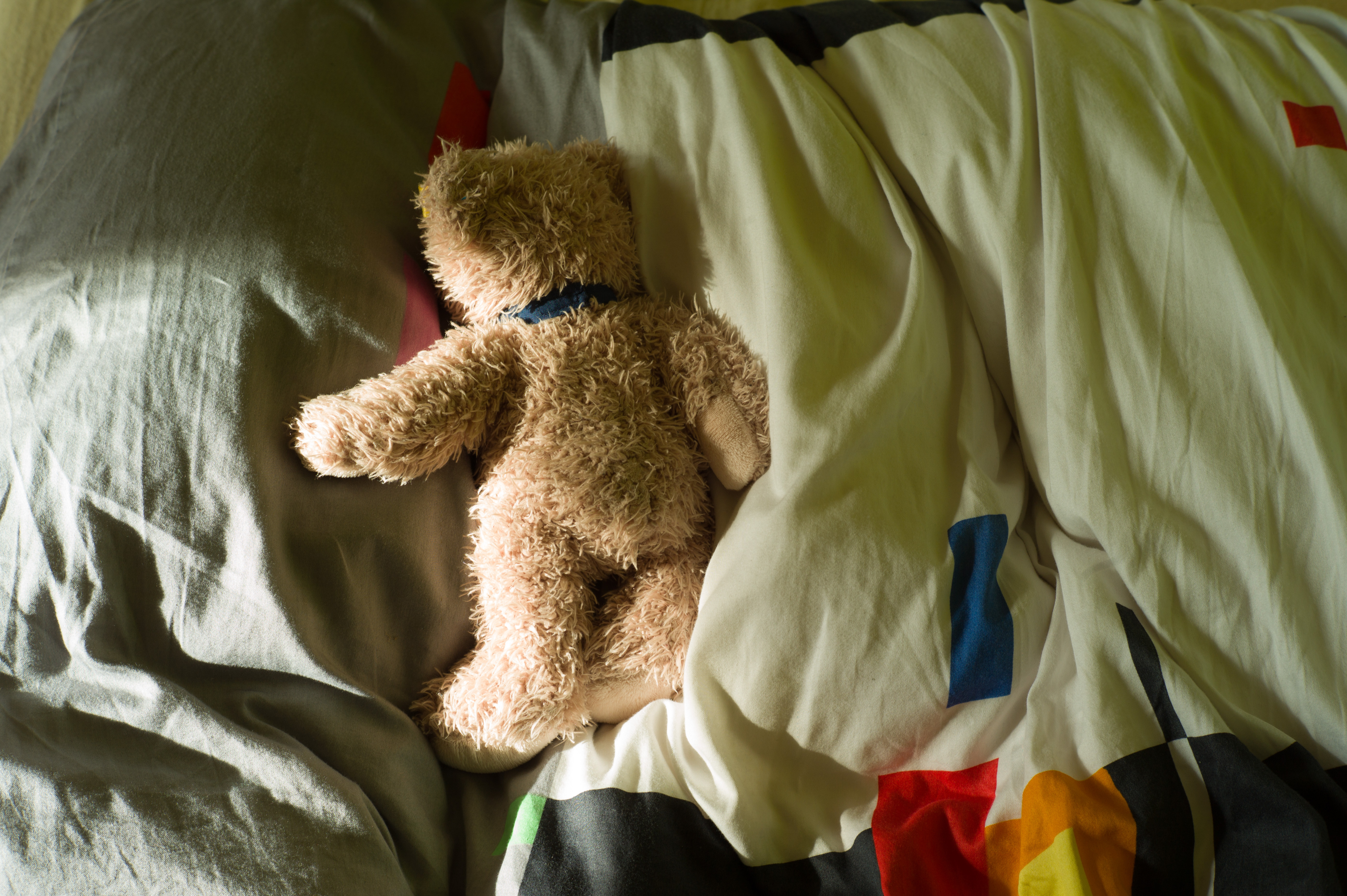 Survey: 4 In 10 Adult Americans Still Sleep With A Teddy Bear