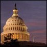 The Capital