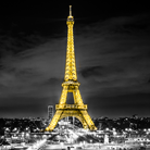 City of Lights