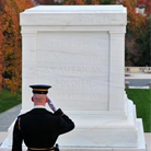 The History of Veterans Day