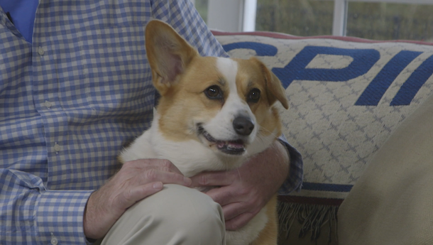 Watch Holly's Television Debut on Greta Van Susteren's 'Pet Tales'