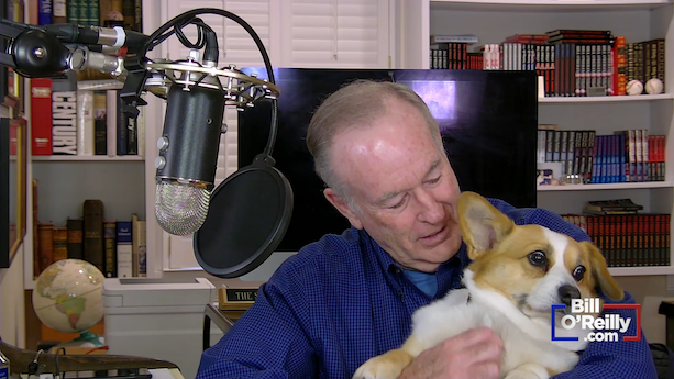 Bill Discusses His Trip To D.C, Page & Strzok's Cellphone Controversy & An Interview With Mark Penn