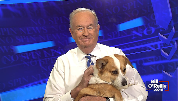 One of the Worst Years in America, An Update on the War On Christmas, and Hello Holly!