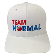 Team Normal Baseball Cap