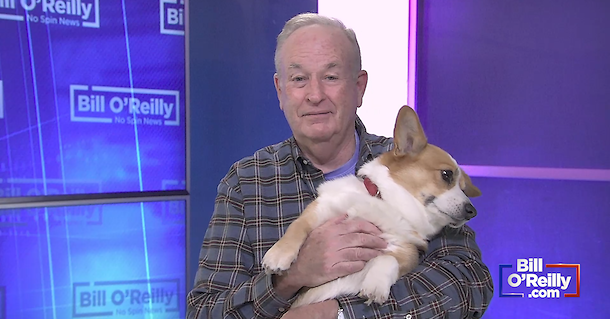 how to find ig live archive