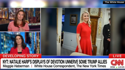 CNN's Strange Obsession With White House Aide