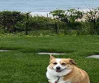 See more photos of Holly on Instagram!