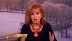A New Low for Joy Behar?
