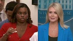 Karoline Leavitt: 'What a Stupid Question!'