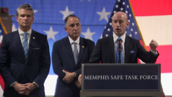 Stephen Miller Fights Crime, MSNBC Fights Stephen Miller