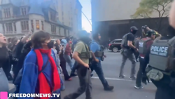 Anti-ICE Mayhem in New York City