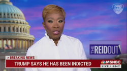 Joy Reid Calls Florida A Hotbed Of Nazism