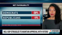 MSNBC Pundit Demands More Trump Hatred!