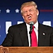 News Quiz Image