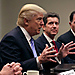 Top Story Quiz Image