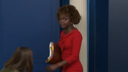 Chaos in White House Briefing Room