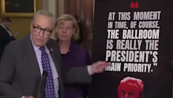 Chuck Schumer's Desperate Lie