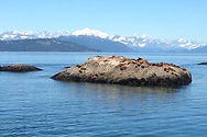 Lazing on the rocks at Glacier Bay