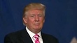 Donald Trump Has Had a Brutal Seven Days