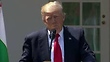 Trump's View of Syria and Assad Altered After 'Unacceptable' Chemical Attack