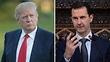 Syria war: US missiles 'took out 20% of aircraft'